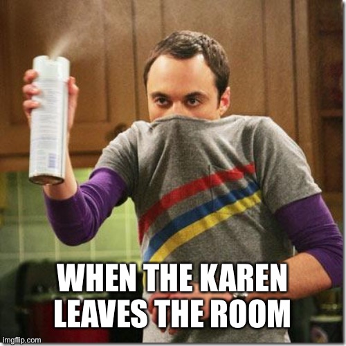 air freshener sheldon cooper | WHEN THE KAREN LEAVES THE ROOM | image tagged in air freshener sheldon cooper,karens,stop reading the tags | made w/ Imgflip meme maker