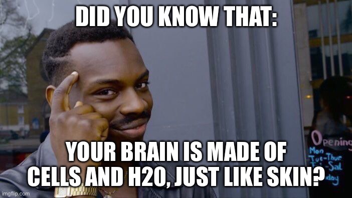 I think, I might be wrong. | DID YOU KNOW THAT:; YOUR BRAIN IS MADE OF CELLS AND H20, JUST LIKE SKIN? | image tagged in memes,roll safe think about it | made w/ Imgflip meme maker