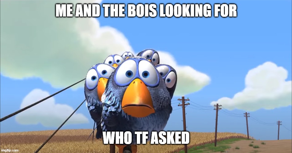 For The Birds | ME AND THE BOIS LOOKING FOR; WHO TF ASKED | image tagged in birds | made w/ Imgflip meme maker