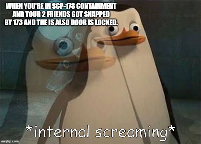 Private Internal Screaming | WHEN YOU'RE IN SCP-173 CONTAINMENT AND YOUR 2 FRIENDS GOT SNAPPED BY 173 AND THE IS ALSO DOOR IS LOCKED. | image tagged in private internal screaming | made w/ Imgflip meme maker