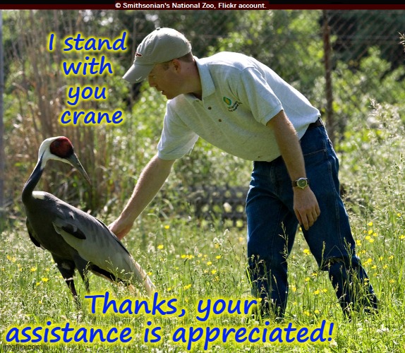 Crane and zookeeper | I stand 
with 
you 
crane; Thanks, your assistance is appreciated! | image tagged in walnut with her zookeeper,ukraine,defense,resistance,invasion,birds | made w/ Imgflip meme maker