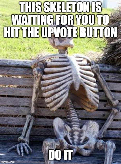 Do what the skeleton says | THIS SKELETON IS WAITING FOR YOU TO HIT THE UPVOTE BUTTON; DO IT | image tagged in memes,waiting skeleton,upvote begging | made w/ Imgflip meme maker