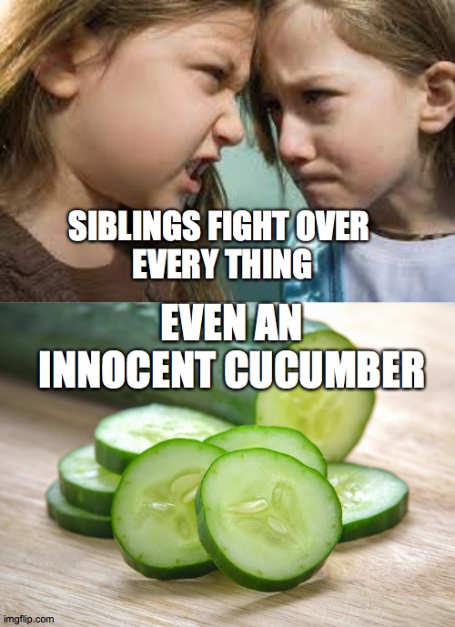 Siblings can fight over anything | SIBLINGS FIGHT OVER 
EVERY THING; EVEN AN INNOCENT CUCUMBER | image tagged in siblings,cucumber,fighting | made w/ Imgflip meme maker