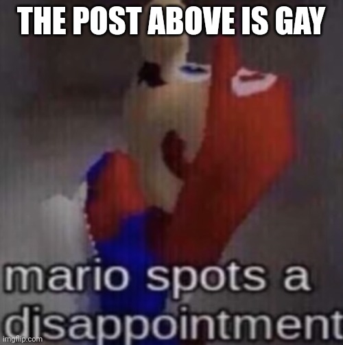 mario spots a dissapointment | THE POST ABOVE IS GAY | image tagged in mario spots a dissapointment | made w/ Imgflip meme maker