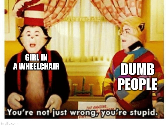You're not just wrong your stupid | GIRL IN A WHEELCHAIR DUMB PEOPLE | image tagged in you're not just wrong your stupid | made w/ Imgflip meme maker