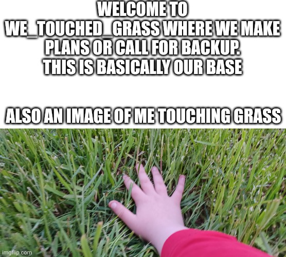 Welcome post | WELCOME TO WE_TOUCHED_GRASS WHERE WE MAKE PLANS OR CALL FOR BACKUP. THIS IS BASICALLY OUR BASE; ALSO AN IMAGE OF ME TOUCHING GRASS | image tagged in tags,more tags,more more tags,more more more tags,more more more more tags,more more more more more tags | made w/ Imgflip meme maker