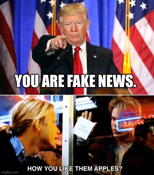 YOU ARE FAKE NEWS. | image tagged in trump fake news,good will hunting apples | made w/ Imgflip meme maker