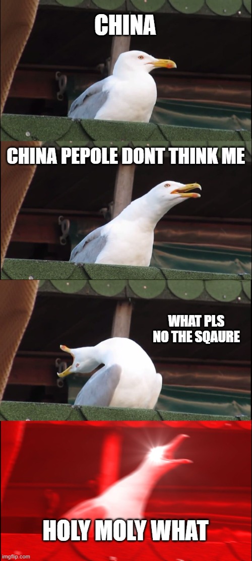 china belive us | CHINA; CHINA PEPOLE DONT THINK ME; WHAT PLS NO THE SQAURE; HOLY MOLY WHAT | image tagged in memes,inhaling seagull | made w/ Imgflip meme maker