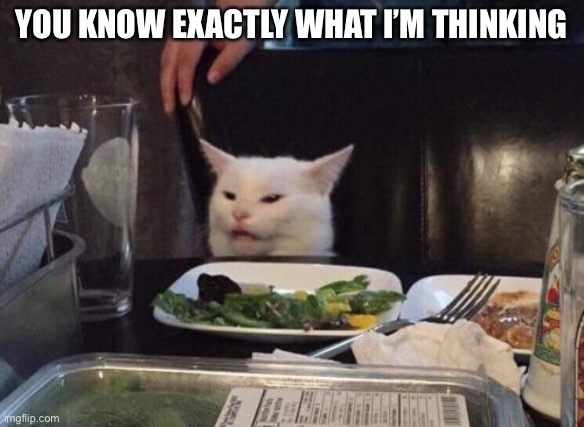 Smudge’s thoughts | YOU KNOW EXACTLY WHAT I’M THINKING | image tagged in salad cat | made w/ Imgflip meme maker
