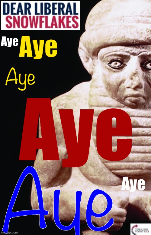 Sumerian Dear Liberal Snowflakes | Aye; Aye; Aye; Aye; Aye; Aye | image tagged in sumerian dear liberal snowflakes | made w/ Imgflip meme maker
