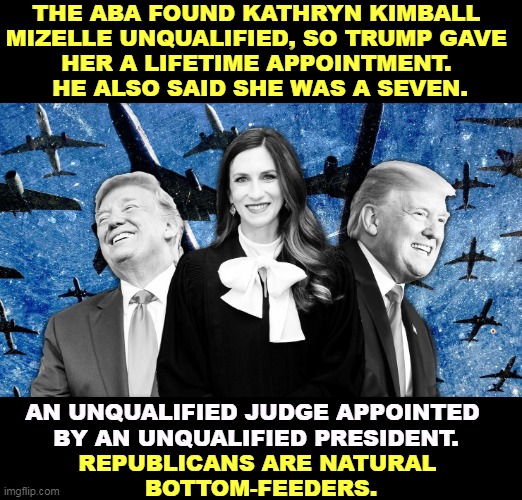 She thinks protecting against pre-existing conditions is unconstitutional. No, really. | THE ABA FOUND KATHRYN KIMBALL 
MIZELLE UNQUALIFIED, SO TRUMP GAVE 
HER A LIFETIME APPOINTMENT. 
HE ALSO SAID SHE WAS A SEVEN. AN UNQUALIFIED JUDGE APPOINTED 
BY AN UNQUALIFIED PRESIDENT. REPUBLICANS ARE NATURAL 
BOTTOM-FEEDERS. | image tagged in trump,trump unfit unqualified dangerous,judge,wrong | made w/ Imgflip meme maker