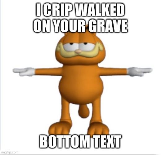 :) | I CRIP WALKED ON YOUR GRAVE; BOTTOM TEXT | image tagged in garfield t-pose | made w/ Imgflip meme maker