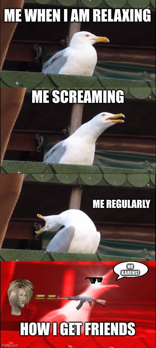 Inhaling Seagull | ME WHEN I AM RELAXING; ME SCREAMING; ME REGULARLY; NO KARENS! HOW I GET FRIENDS | image tagged in memes,inhaling seagull | made w/ Imgflip meme maker