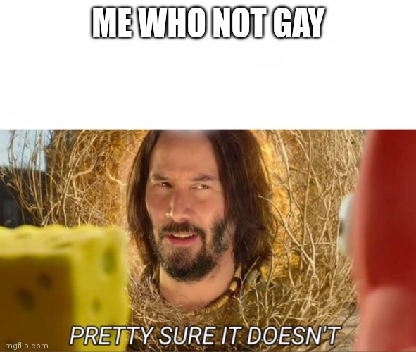 im pretty sure it doesnt | ME WHO NOT GAY | image tagged in im pretty sure it doesnt | made w/ Imgflip meme maker