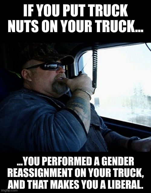 ...and in some states it also makes you a pedophile if your truck is less than 18 years old. | IF YOU PUT TRUCK NUTS ON YOUR TRUCK... ...YOU PERFORMED A GENDER REASSIGNMENT ON YOUR TRUCK, AND THAT MAKES YOU A LIBERAL. | image tagged in truck driver,truck nuts,gender reassignment | made w/ Imgflip meme maker