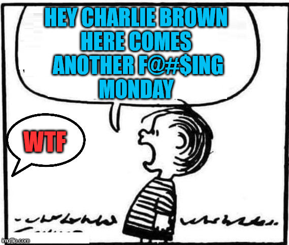 FUNNY | HEY CHARLIE BROWN
HERE COMES
 ANOTHER F@#$ING
MONDAY; WTF | image tagged in mondays,hate,peanuts | made w/ Imgflip meme maker