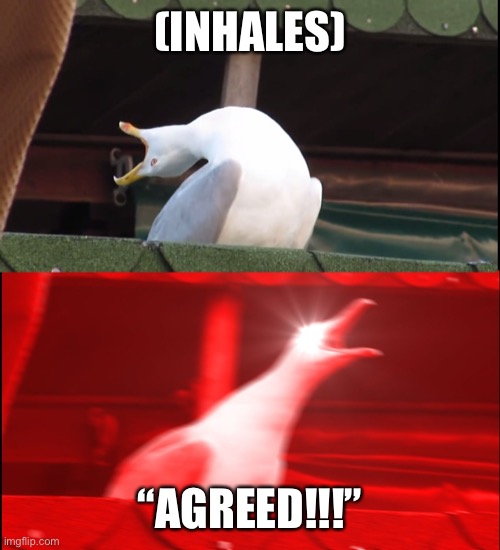 Screaming bird | (INHALES) “AGREED!!!” | image tagged in screaming bird | made w/ Imgflip meme maker