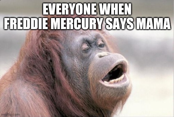 Monkey OOH Meme | EVERYONE WHEN FREDDIE MERCURY SAYS MAMA | image tagged in memes,monkey ooh | made w/ Imgflip meme maker