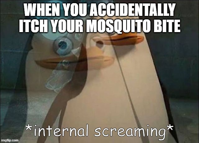 itch | WHEN YOU ACCIDENTALLY ITCH YOUR MOSQUITO BITE | image tagged in private internal screaming | made w/ Imgflip meme maker