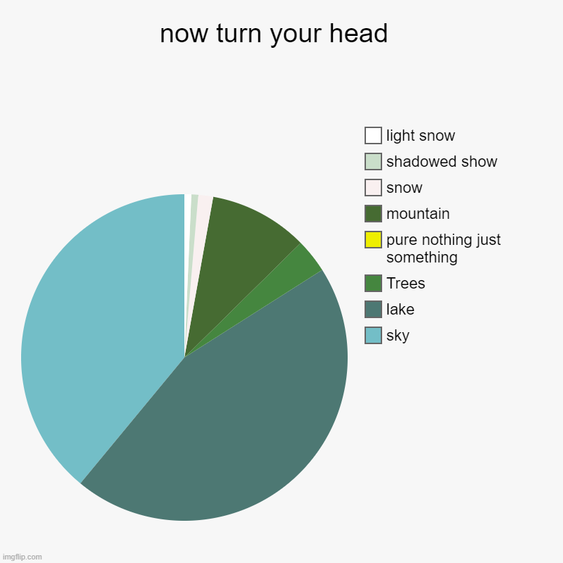 Tilt your head(tried my best) | now turn your head  | sky, lake, Trees, pure nothing just something, mountain, snow, shadowed show, light snow | image tagged in charts,pie charts | made w/ Imgflip chart maker