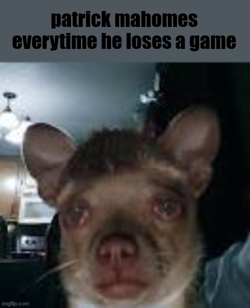 Cooked dog |  patrick mahomes
everytime he loses a game | image tagged in cooked dog | made w/ Imgflip meme maker