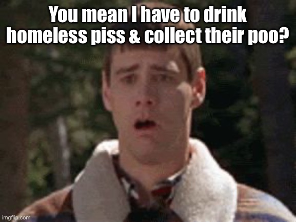 dumb and dumber gag | You mean I have to drink homeless piss & collect their poo? | image tagged in dumb and dumber gag | made w/ Imgflip meme maker