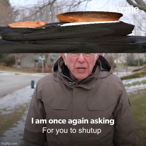 Bernie I Am Once Again Asking For Your Support | For you to shutup | image tagged in memes,bernie i am once again asking for your support | made w/ Imgflip meme maker