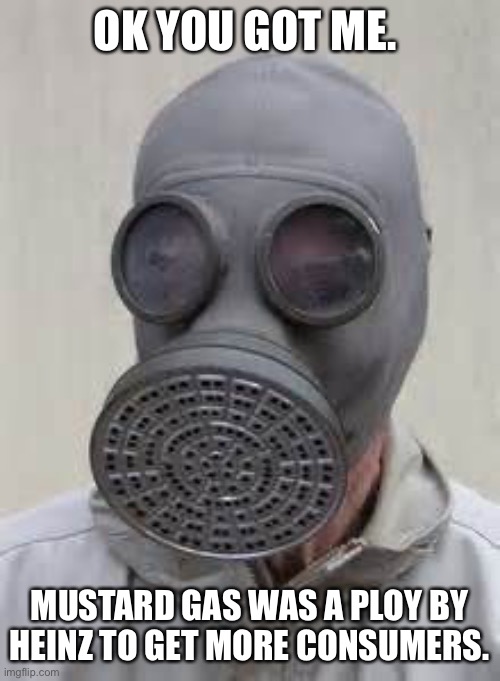Gas mask | OK YOU GOT ME. MUSTARD GAS WAS A PLOY BY HEINZ TO GET MORE CONSUMERS. | image tagged in gas mask | made w/ Imgflip meme maker
