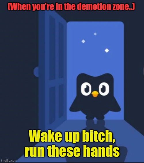 Don’t Miss Your Lessons | (When you’re in the demotion zone..); Wake up bitch, run these hands | image tagged in duolingo bird | made w/ Imgflip meme maker