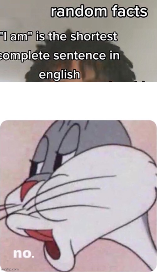 No. | . | image tagged in bugs bunny no,no,hold up,hold the frick up | made w/ Imgflip meme maker