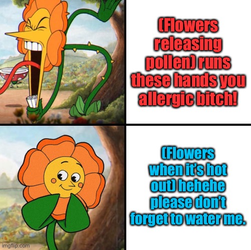 How Flowers Be Acting | (Flowers releasing pollen) runs these hands you allergic bitch! (Flowers when it’s hot out) hehehe please don’t forget to water me. | image tagged in angry flower | made w/ Imgflip meme maker
