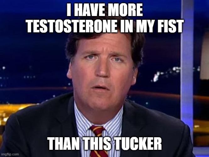 tucker | I HAVE MORE TESTOSTERONE IN MY FIST; THAN THIS TUCKER | image tagged in tucker carlson | made w/ Imgflip meme maker