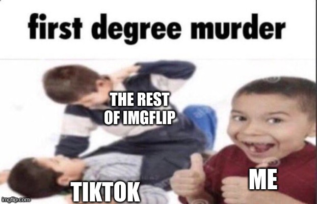 I'm hoping that you guys decimate them | THE REST OF IMGFLIP; ME; TIKTOK | image tagged in idek anymore | made w/ Imgflip meme maker