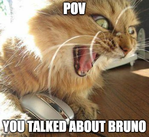 Don't Talk About Bruno | POV; YOU TALKED ABOUT BRUNO | image tagged in angry cat | made w/ Imgflip meme maker