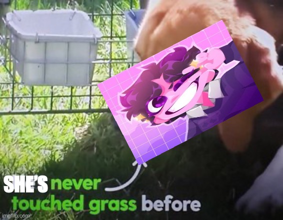 He's never touched grass before | SHE’S | image tagged in he's never touched grass before | made w/ Imgflip meme maker