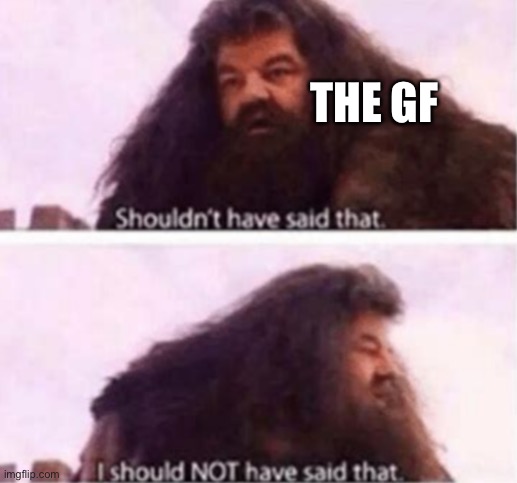 Shouldn't have said that | THE GF | image tagged in shouldn't have said that | made w/ Imgflip meme maker