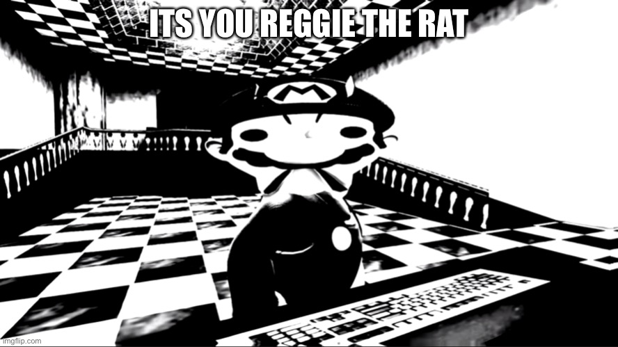 Very angry mario | ITS YOU REGGIE THE RAT | image tagged in very angry mario | made w/ Imgflip meme maker