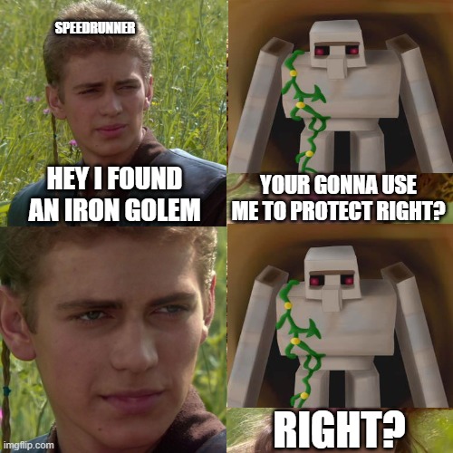 Minecraft meme | SPEEDRUNNER; HEY I FOUND AN IRON GOLEM; YOUR GONNA USE ME TO PROTECT RIGHT? RIGHT? | image tagged in anakin padme 4 panel | made w/ Imgflip meme maker