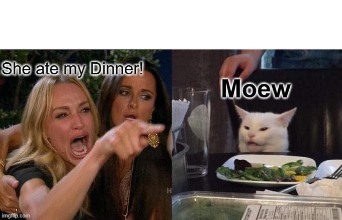 Woman Yelling At Cat | She ate my Dinner! Moew | image tagged in memes,woman yelling at cat | made w/ Imgflip meme maker