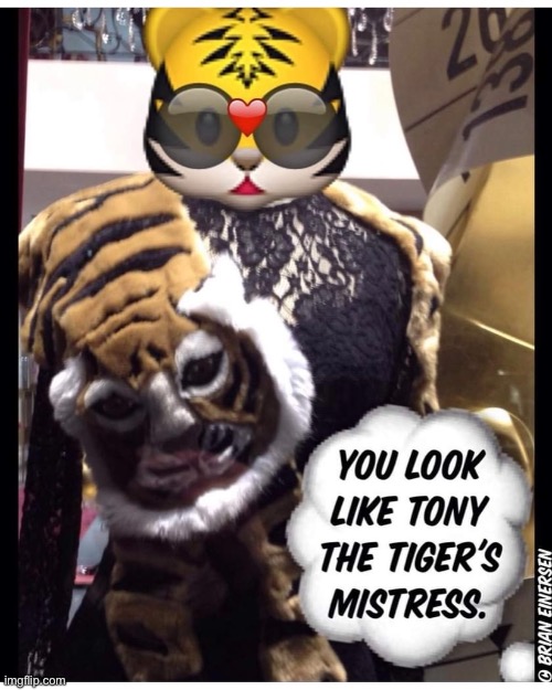 Tony the Tiger’s Mistress | image tagged in fashion,window design,dolce and gabbana,tony the tiger,mistress,brian einersen | made w/ Imgflip meme maker