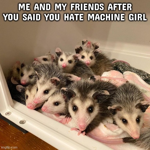 ME AND MY FRIENDS AFTER YOU SAID YOU HATE MACHINE GIRL | made w/ Imgflip meme maker