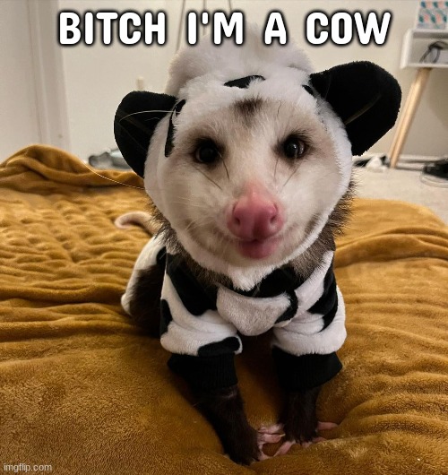 BITCH I'M A COW | made w/ Imgflip meme maker