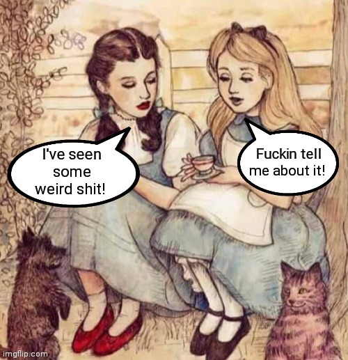 Girl Time Bonding | Fuckin tell me about it! I've seen some weird shit! | image tagged in alice in wonderland,the wizard of oz,dorothy,alice,veterans,ptsd | made w/ Imgflip meme maker