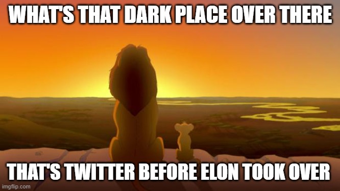 Lion King & son | WHAT'S THAT DARK PLACE OVER THERE; THAT'S TWITTER BEFORE ELON TOOK OVER | image tagged in lion king son | made w/ Imgflip meme maker