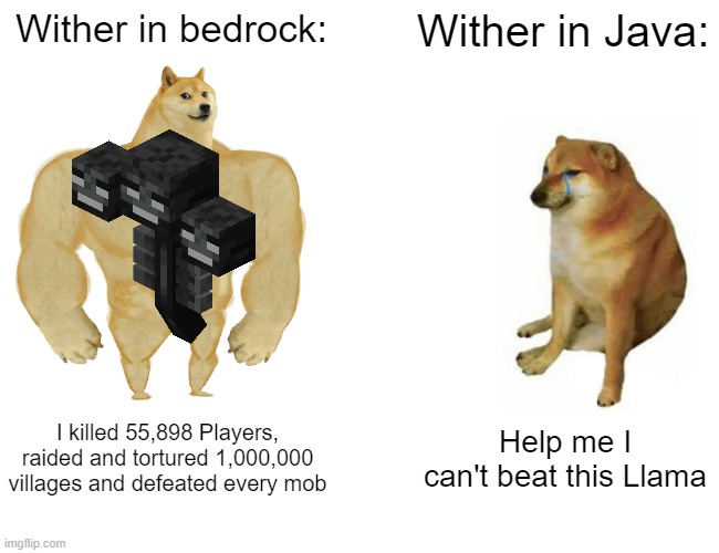Wither in Java vs Wither in Bedrock | Wither in bedrock:; Wither in Java:; I killed 55,898 Players, raided and tortured 1,000,000 villages and defeated every mob; Help me I can't beat this Llama | image tagged in memes,buff doge vs cheems | made w/ Imgflip meme maker