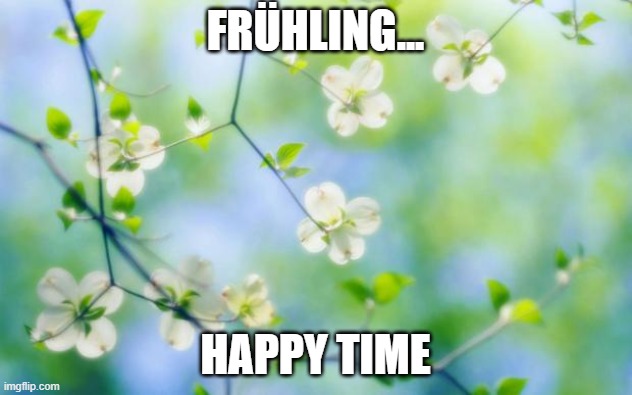 flowers | FRÜHLING... HAPPY TIME | image tagged in flowers | made w/ Imgflip meme maker
