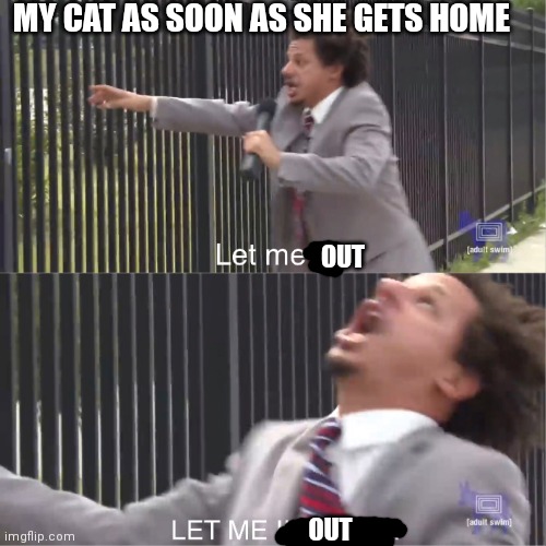 Every time | MY CAT AS SOON AS SHE GETS HOME; OUT; OUT | image tagged in let me in | made w/ Imgflip meme maker