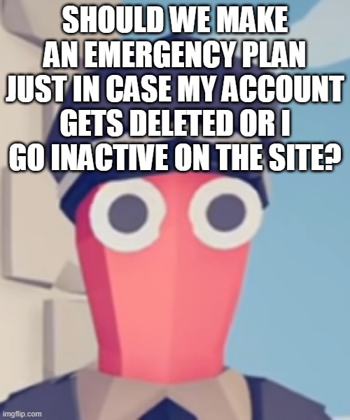 this is probably without question a yes but who cares | SHOULD WE MAKE AN EMERGENCY PLAN JUST IN CASE MY ACCOUNT GETS DELETED OR I GO INACTIVE ON THE SITE? | image tagged in tabs stare | made w/ Imgflip meme maker