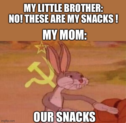 our | MY LITTLE BROTHER: NO! THESE ARE MY SNACKS ! MY MOM:; OUR SNACKS | image tagged in our,snacks | made w/ Imgflip meme maker