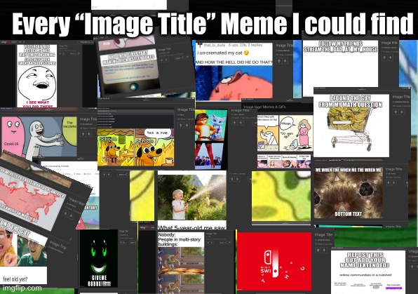 Talk about “overused” titles. |  Every “Image Title” Meme I could find | image tagged in image tags | made w/ Imgflip meme maker